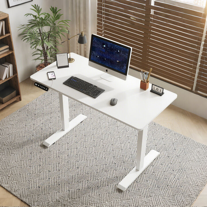 Tekerd Adjustable Desk