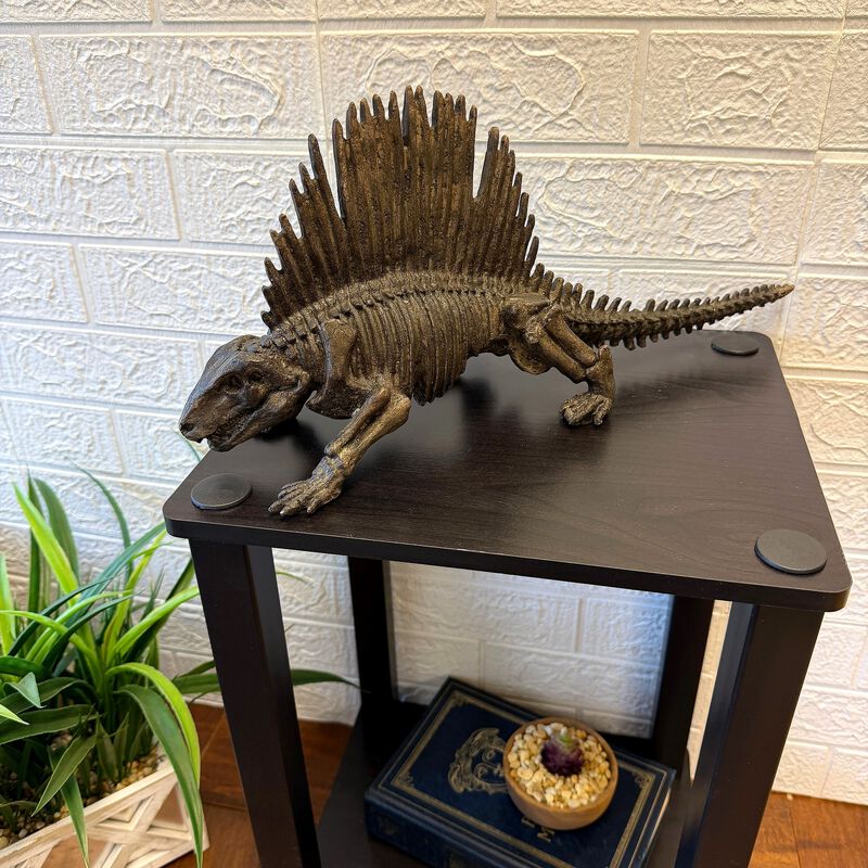 Dimetrodon Dinosaur Statue Fossil Style Brown Polyresin Sculpture 18 Inch image number 6