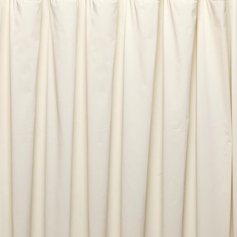 Carnation Home Fashions 3 Gauge Vinyl Shower Curtain Liner with Weighted Magnets and Metal Grommets - Bone 72x72"