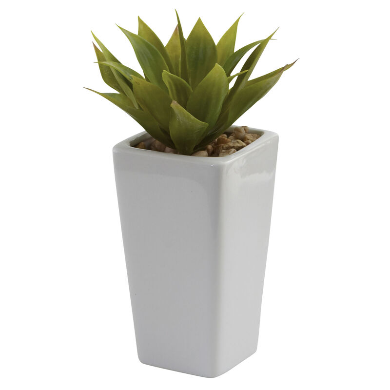 Hivvago Mini Agave w/ Planter (Set of 3) White