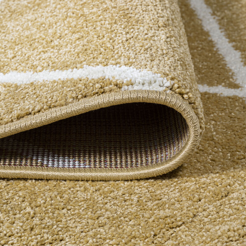 Cole Minimalist Diamond Trellis Area Rug