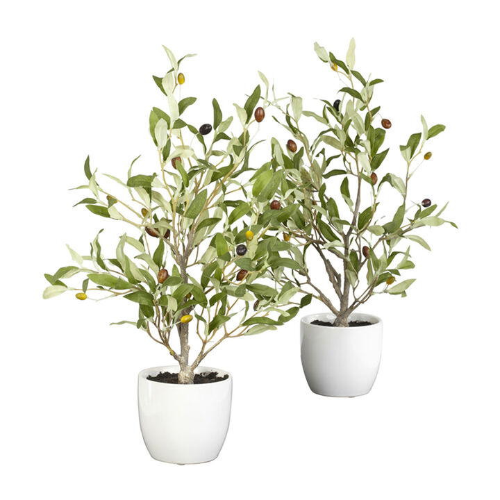 Nearly Natural 18-in Olive Tree w/Vase  (Set of 2)