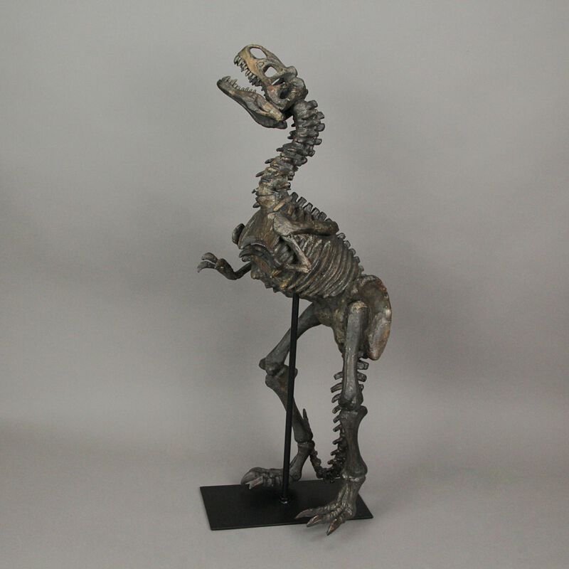 Resin Tyrannosaurus Rex Fossil Bones Home Decor Dinosaur Skeleton Sculpture Art image number 1