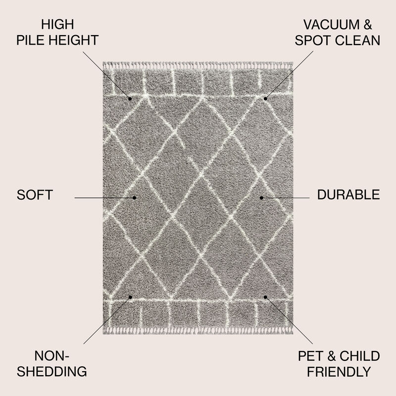 Mercer Shag Plush Tassel Moroccan Geometric Trellis Area Rug