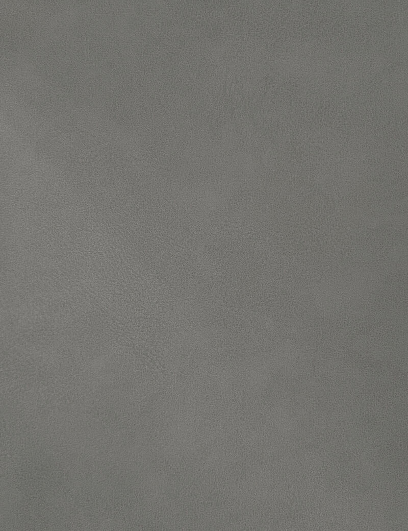 Meridian Furniture Hudson Grey Vegan Leather Twin Trundle Bed