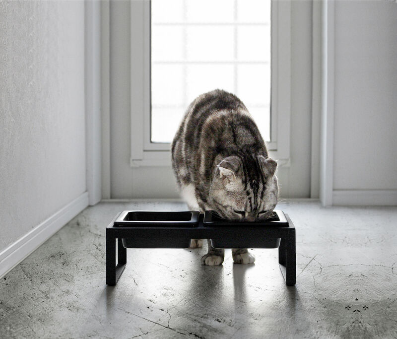 Pet Food Bowl - Two Styles