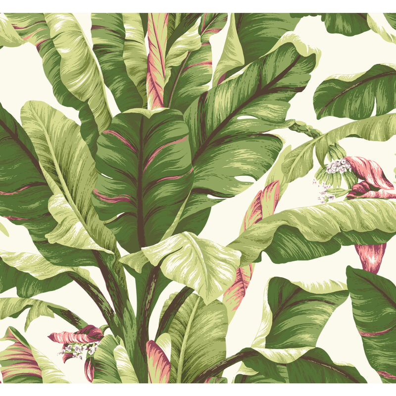Banana Leaf Dark Brown & Pink Wallpaper image number 0