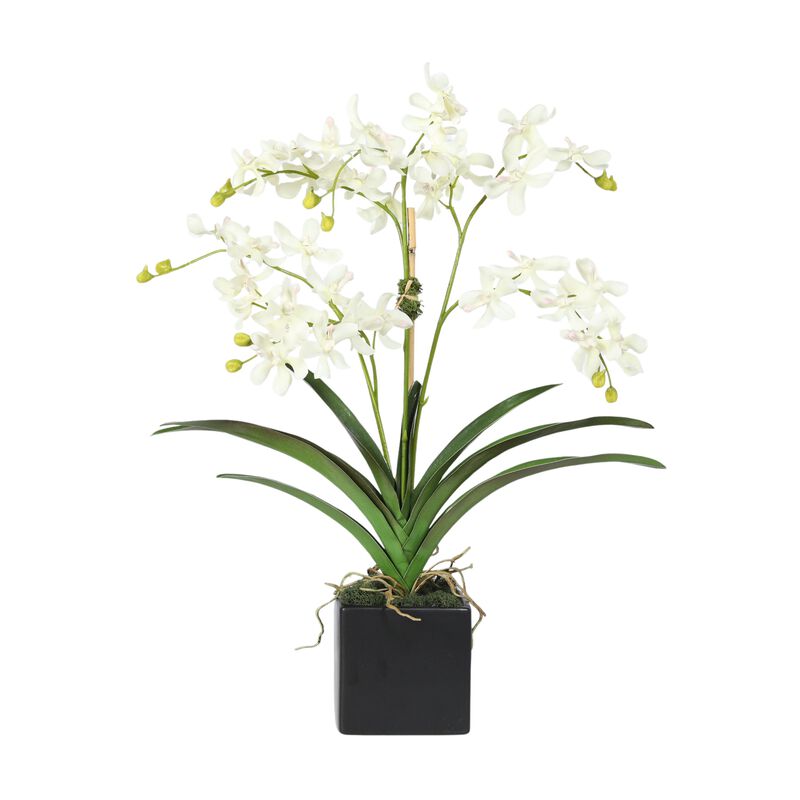 Orchid Arrangement in Vase - 24" image number 0