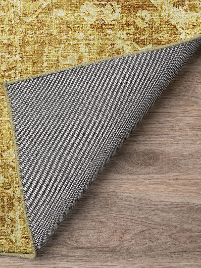 Aberdeen AB2 Gold 3' x 5' Rug