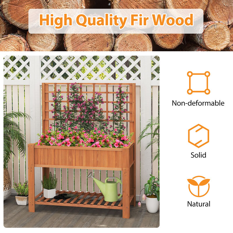 Raised Garden Bed with Legs and Lattice Trellis for Vines and Vegetables