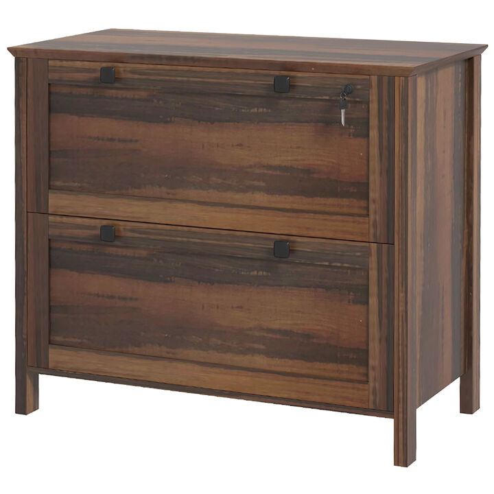 Hivvago 2-Drawer Lateral File Cabinet with Adjustable Hanging Rails