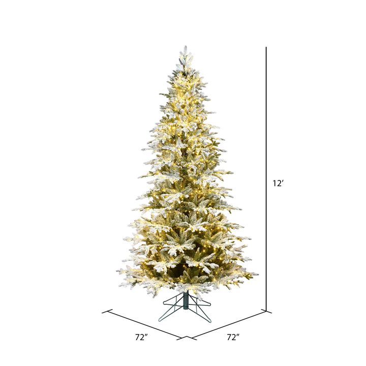 Vickerman Flk Kamas Fraser DuraL -