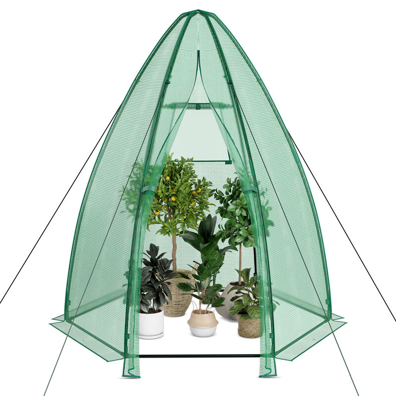 Portable Mini Greenhouse with All-Weather PE Cover