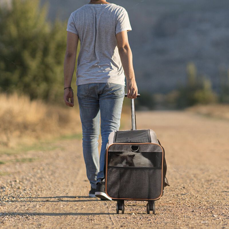 Airline Approved Pet Carrier with Wheels and Telescopic Handle for Cats or Dogs