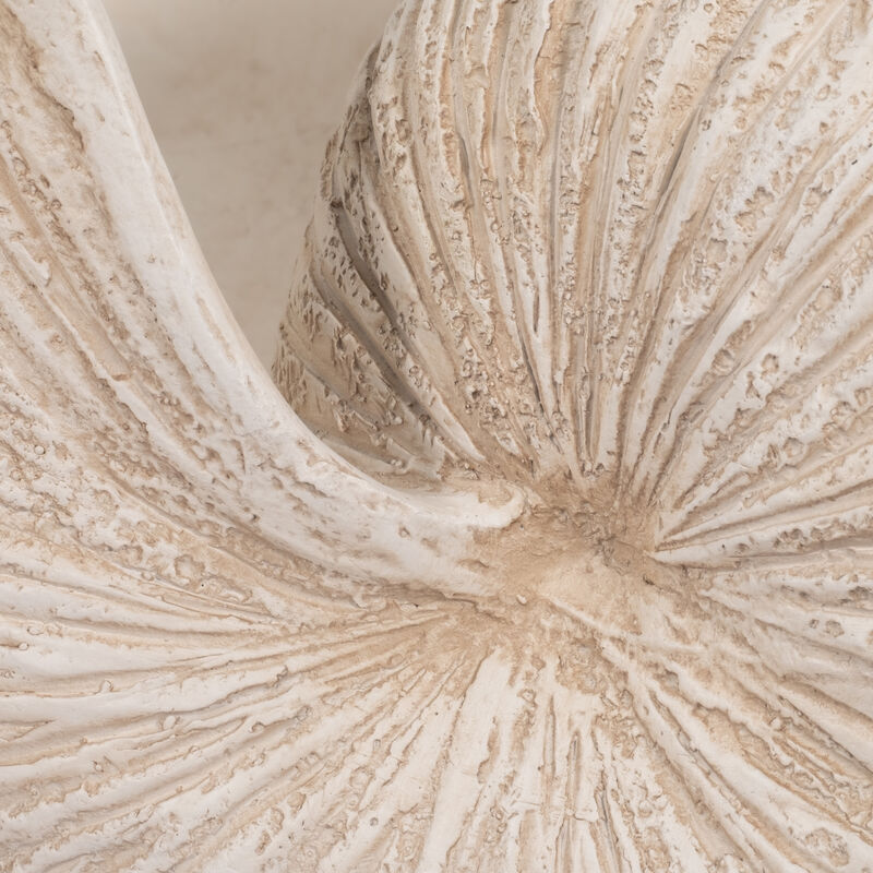 18" Shell Sculpture, Ivory image number 5