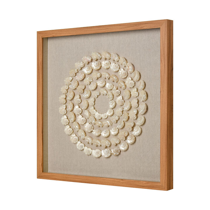 Concentric Shell Dimensional Wall Art