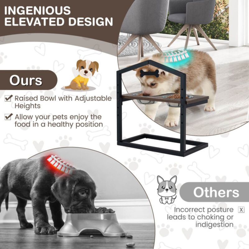 Elevated Pet Feeder with 2 Detachable Stainless Steel Bowl
