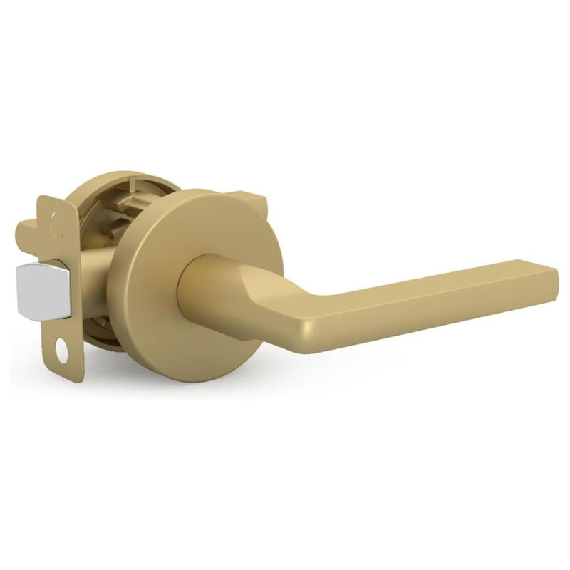 Mega Handles | Ralph Passage Lever