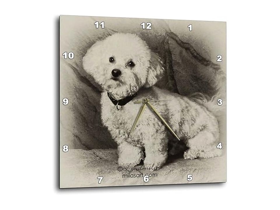 Bichon Frise Wall Clock 10 Inch Home Decor