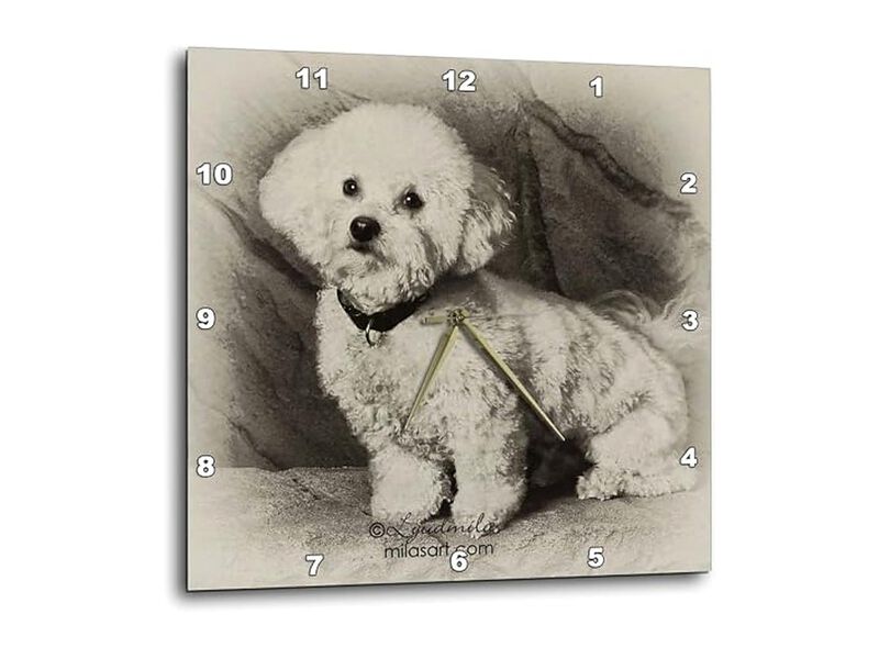 Bichon Frise Wall Clock 10 Inch Home Decor image number 0
