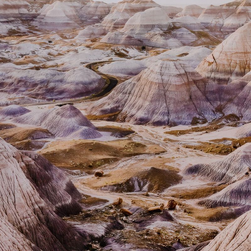 Lavender Haze by Wesley and Emma Teague image number 2