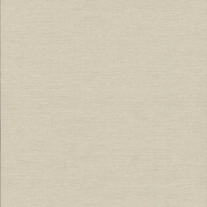 Altitude Tan Wallpaper (Set of 2)