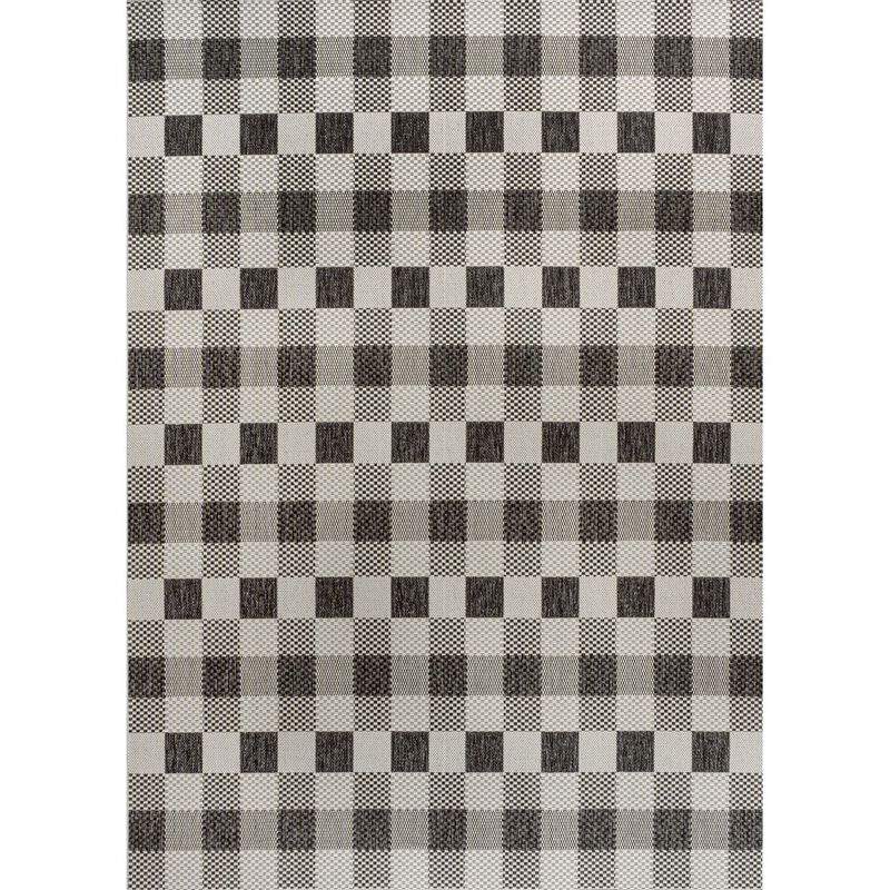 Darcy Traditional Geometric Bold Gingham Indoor/Outdoor Area Rug