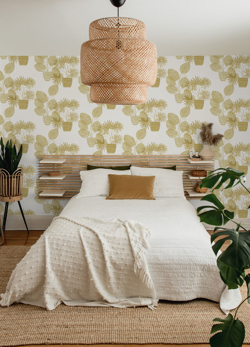 Aida Gold Potted Plant Wallpaper image number 1