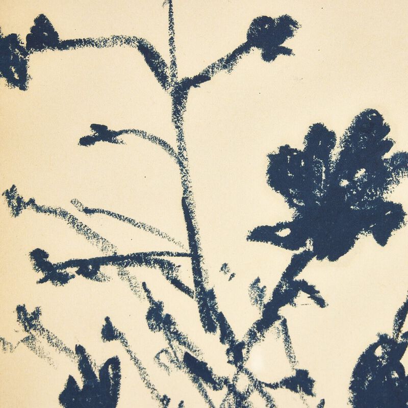 Summer Weed by Shaina Page image number 4