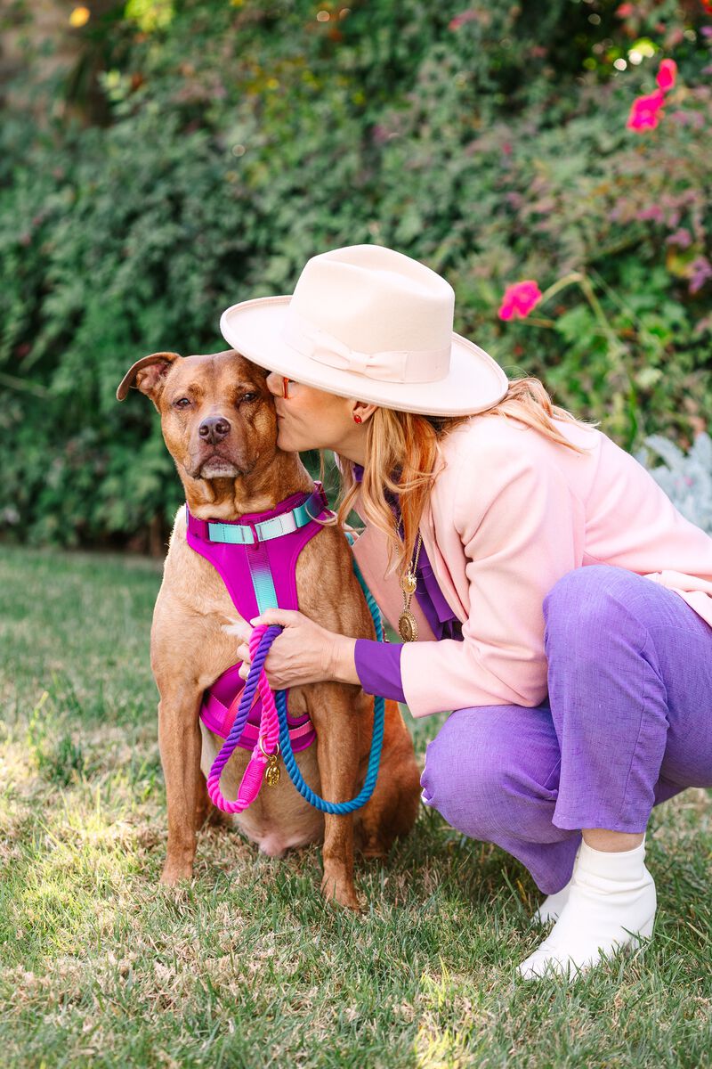 Joanna Dog Harness image number 3