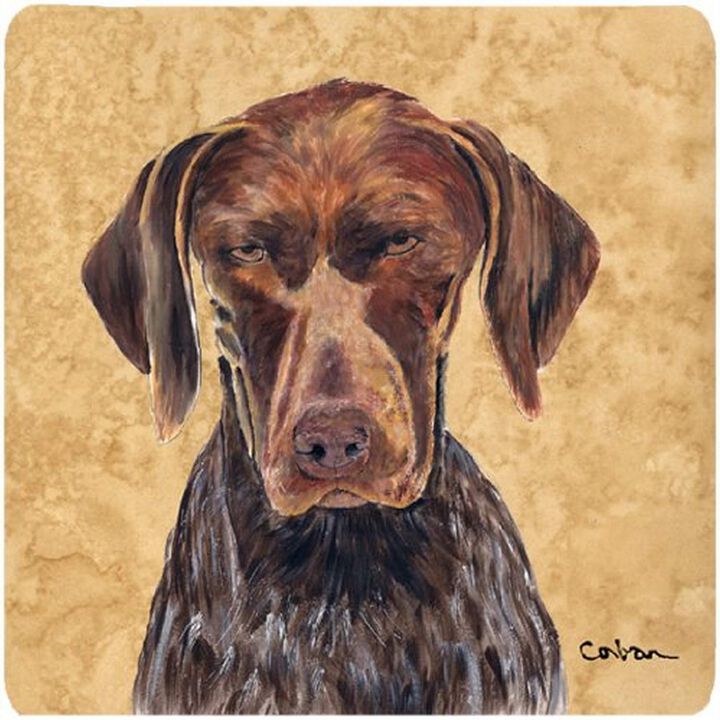 Caroline's Treasures SC9117FC German Shorthaired Pointer Foam Coasters (Set of 4), 3.5 H x 3.5 W, Multicolor