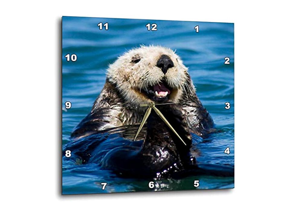California Sea Otter Moss Landing Wall Clock 10 Inch Home Decor