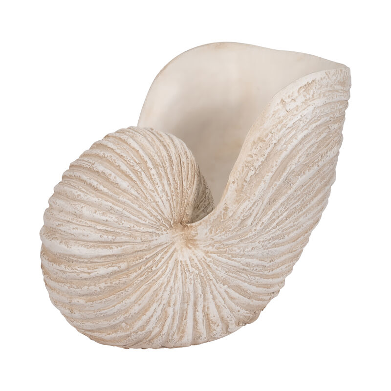 18" Shell Sculpture, Ivory image number 2