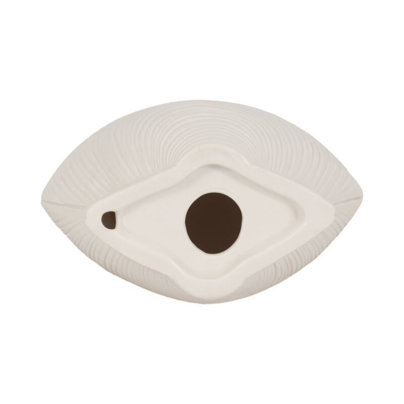 6" Seashell Decor, White image number 5