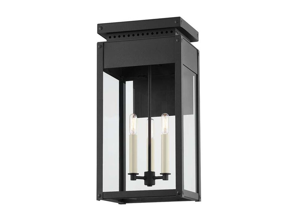 Braydan Exterior Wall Sconce