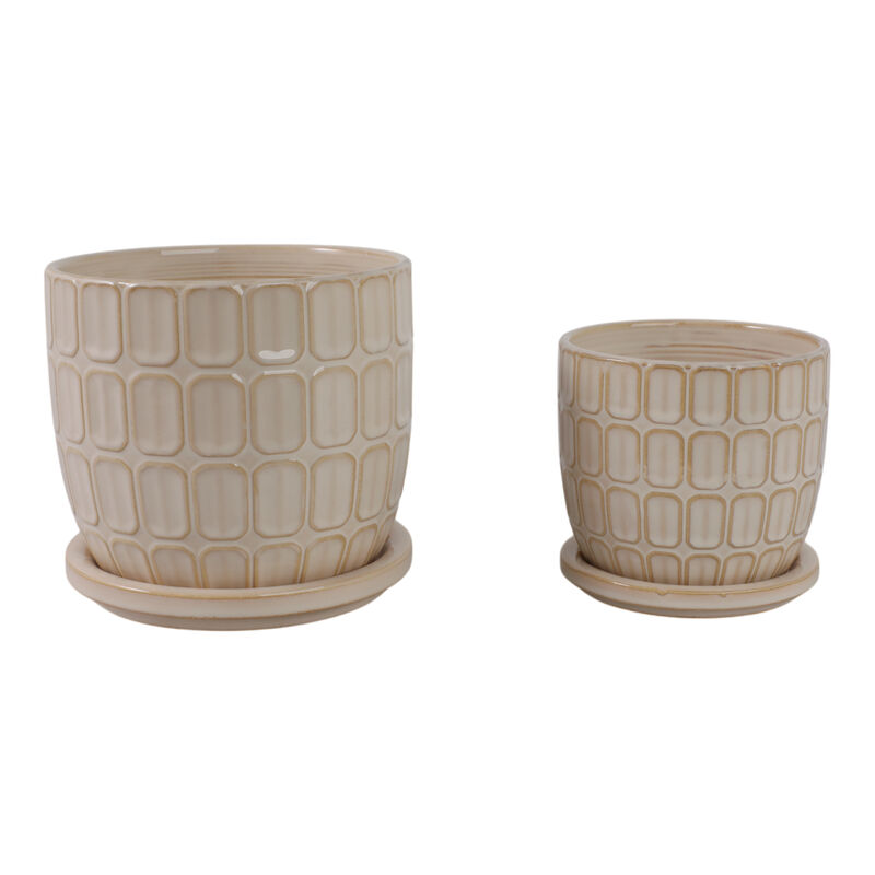 S/2 Squoval Saucer Planters image number 3