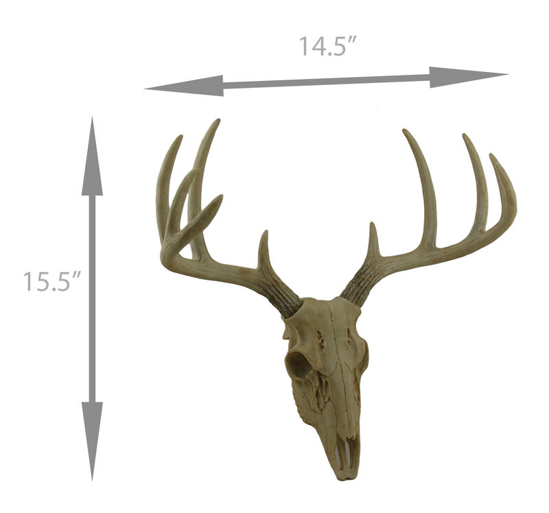 Little Bucky Wall Mounted Faux Aged Finish 10 Point Antlers Deer Skull 15 Inch image number 3