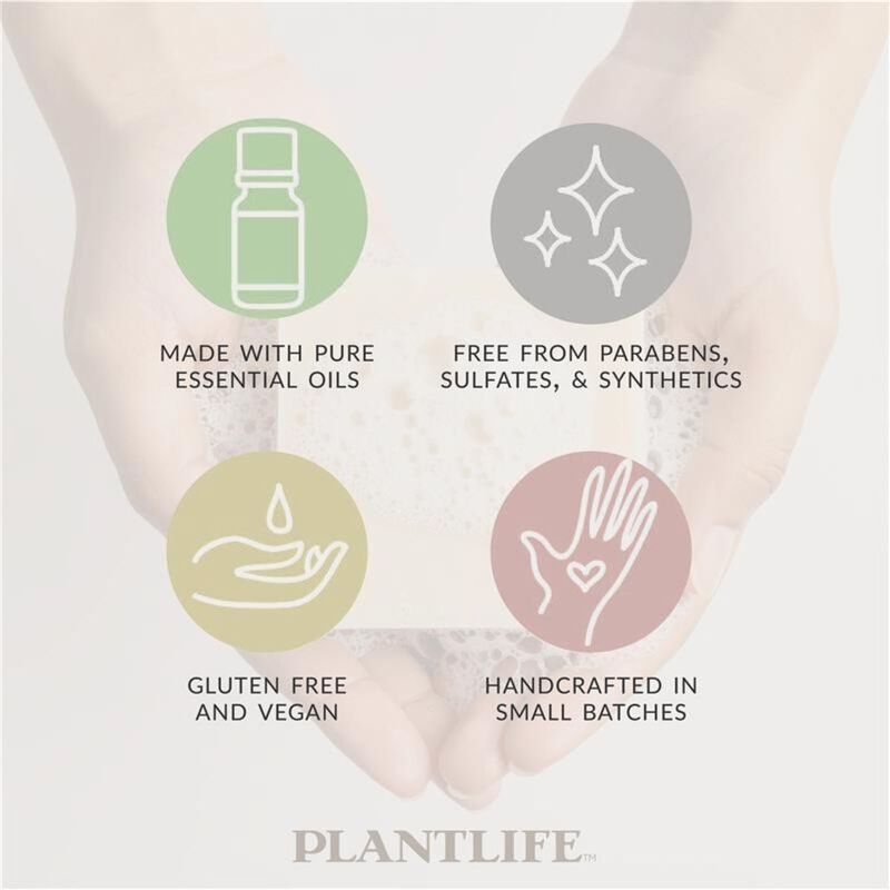 Plantlife Bar Soap - Turmeric 6 Pack image number 6