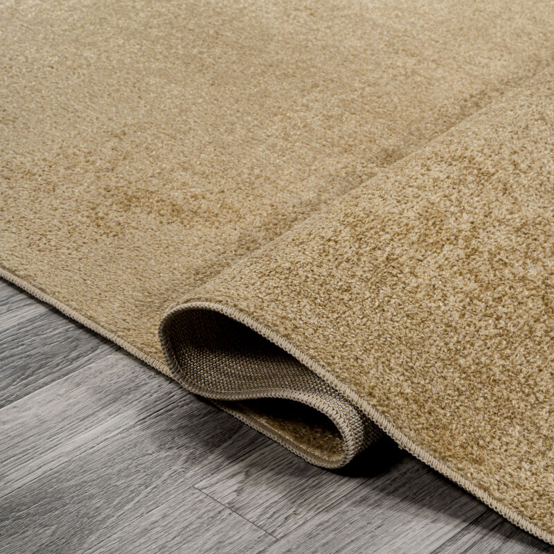 Twyla Classic Solid Low-Pile Machine-Washable Area Rug