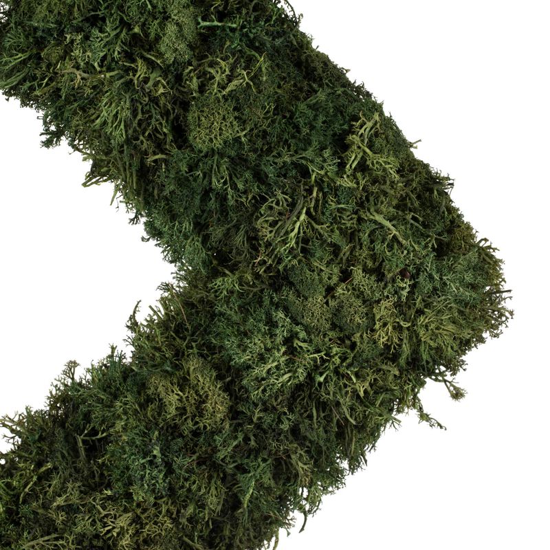 Vickerman 15.5 " Reindeer Moss Square-Dark Green image number 3