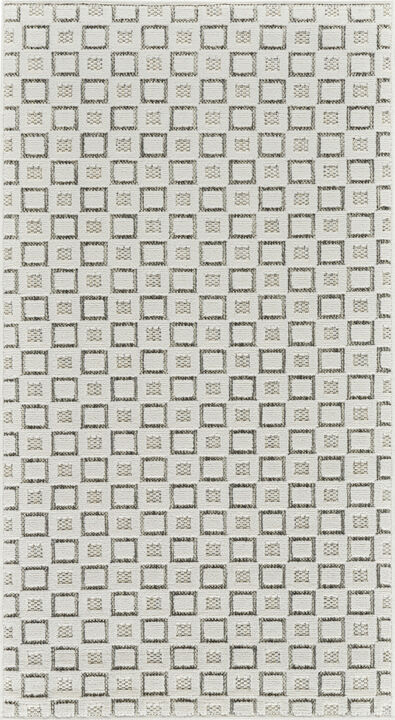HomeRoots Geometric Distressed Indoor Outdoor Area Rug