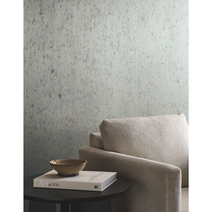 Silver Burnished Patina White Silver Wallpaper