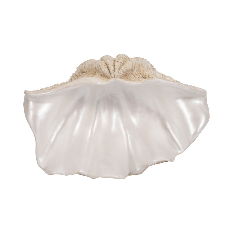 16" Pearlized Clam Shell Bowl, Ivory image number 5