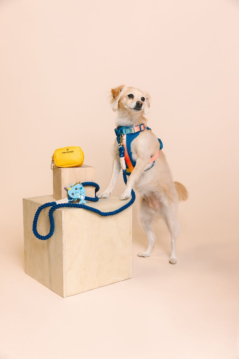 Atlas Dog Harness image number 3