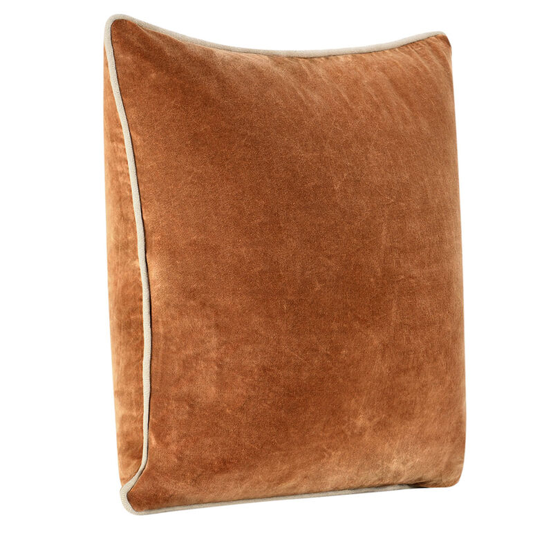 Heirloom Velvet Pillow