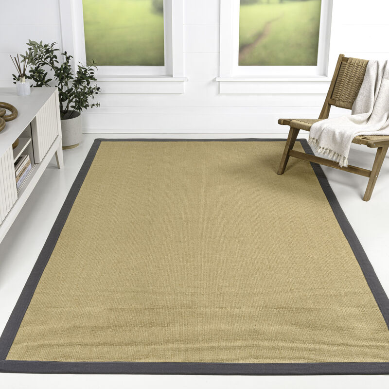 Camden Farmhouse Cottage Border Jute Area Rug