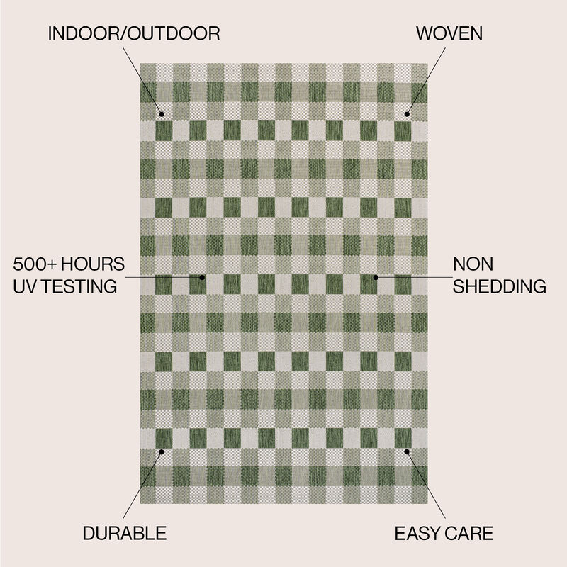 Darcy Traditional Geometric Bold Gingham Indoor/Outdoor Area Rug