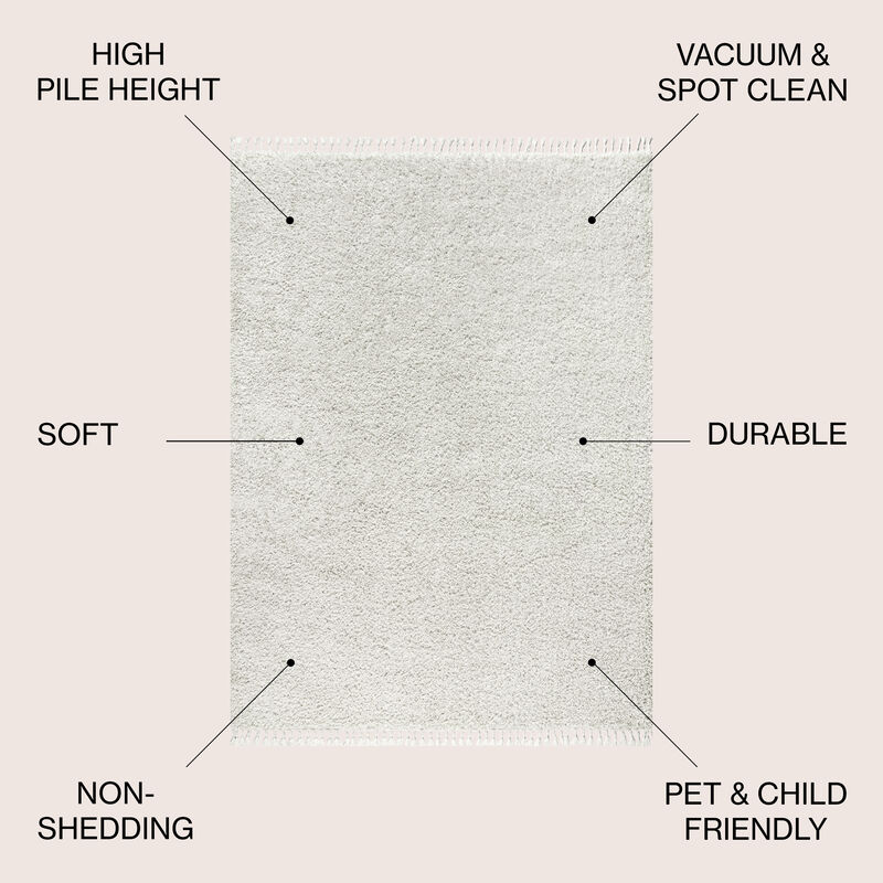 Mercer Shag Plush Tassel Area Rug