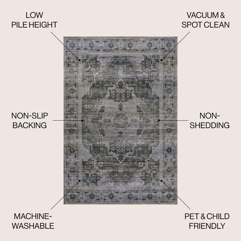 Alanya Ornate Medallion Machine-Washable Area Rug