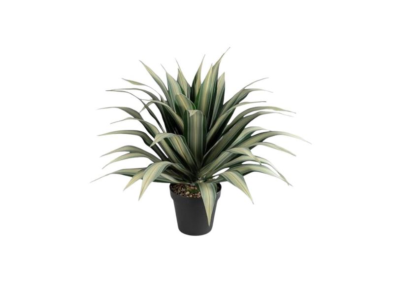 Life Extra Large 34 Inch Tall Artificial Agave Plant Cream Leaves Textured Dark image number 0
